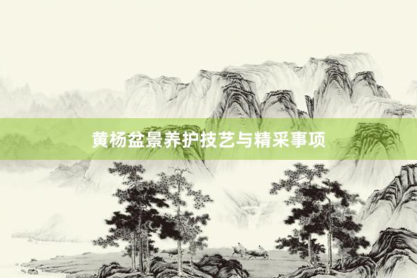 黄杨盆景养护技艺与精采事项