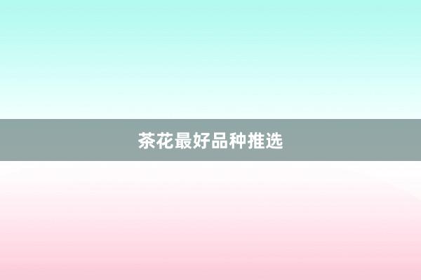 茶花最好品种推选