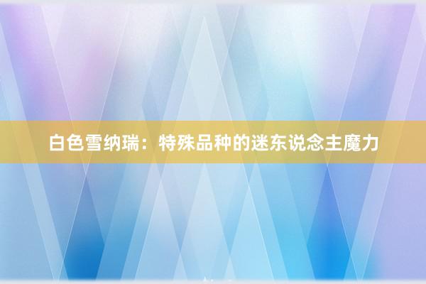 白色雪纳瑞:特殊品种的迷东说念主魔力