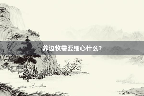 养边牧需要细心什么？