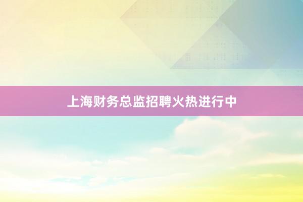 上海财务总监招聘火热进行中